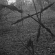 Illustration for article titled The New Cult Canon: iThe Blair Witch Project/i